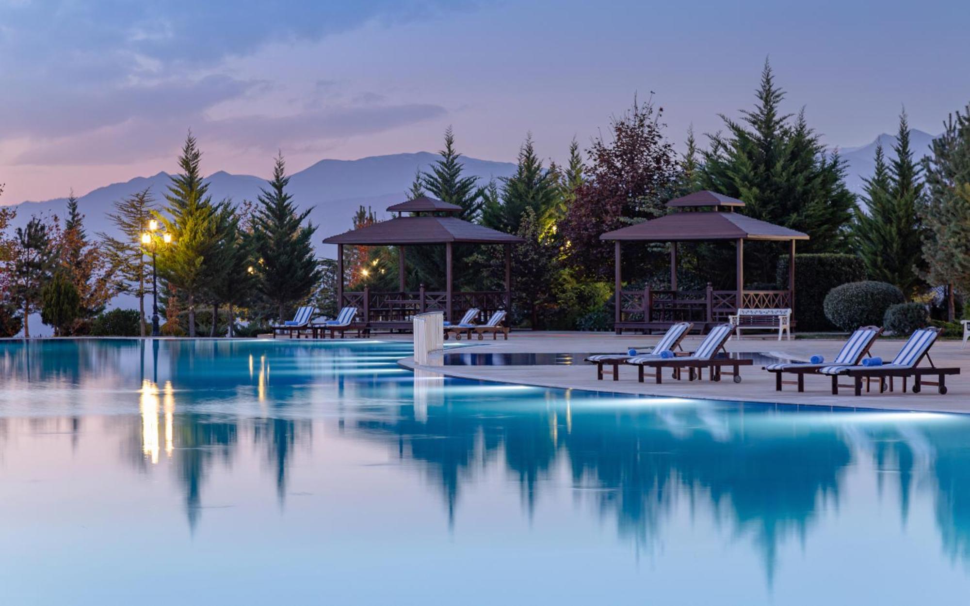 Shamakhi Palace Sharadil Seredil Dış mekan fotoğraf The swimming pool at the hotel