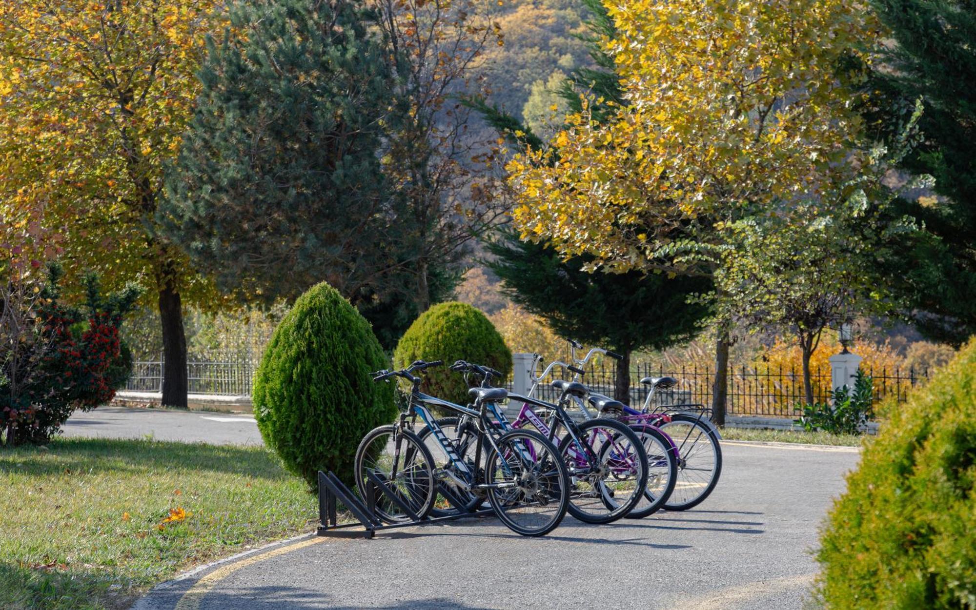 Shamakhi Palace Sharadil Seredil Dış mekan fotoğraf Bicycles parked at the entrance of the park